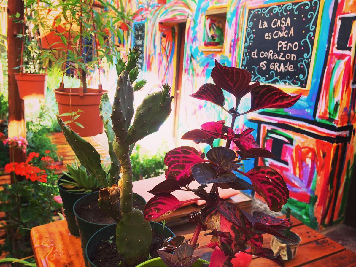 La Puerta Verde Hostel & Bar Humahuaca Eksteriør billede